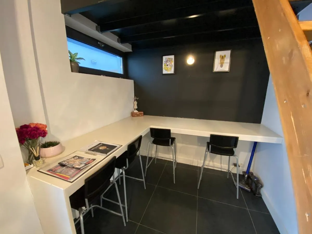 Modern Cozy Studio With Backyard Antwerp Belgium